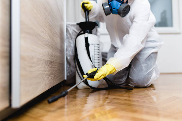 Best Flea Control Services  in Topton, PA