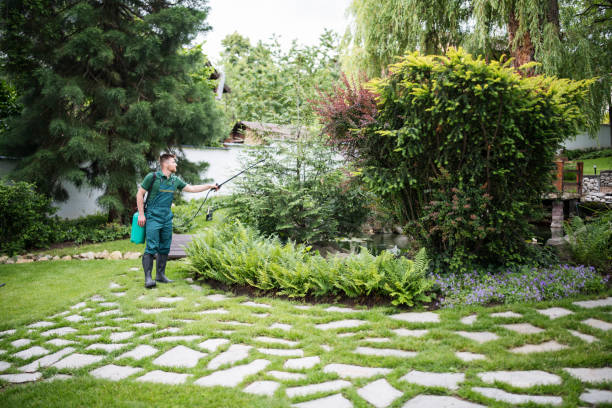Best Residential Pest Control  in Topton, PA
