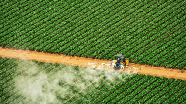 Insect Control in Topton, PA