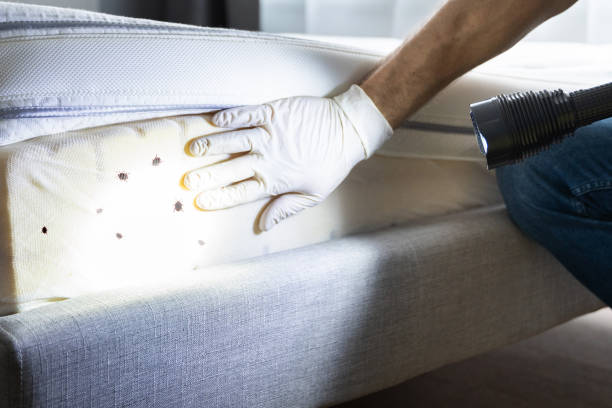 Pest Control for Restaurants in Topton, PA