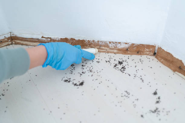 Best Best Pest Control Companies  in Topton, PA